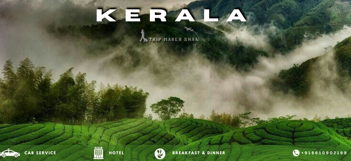Kerala Escorted Tours